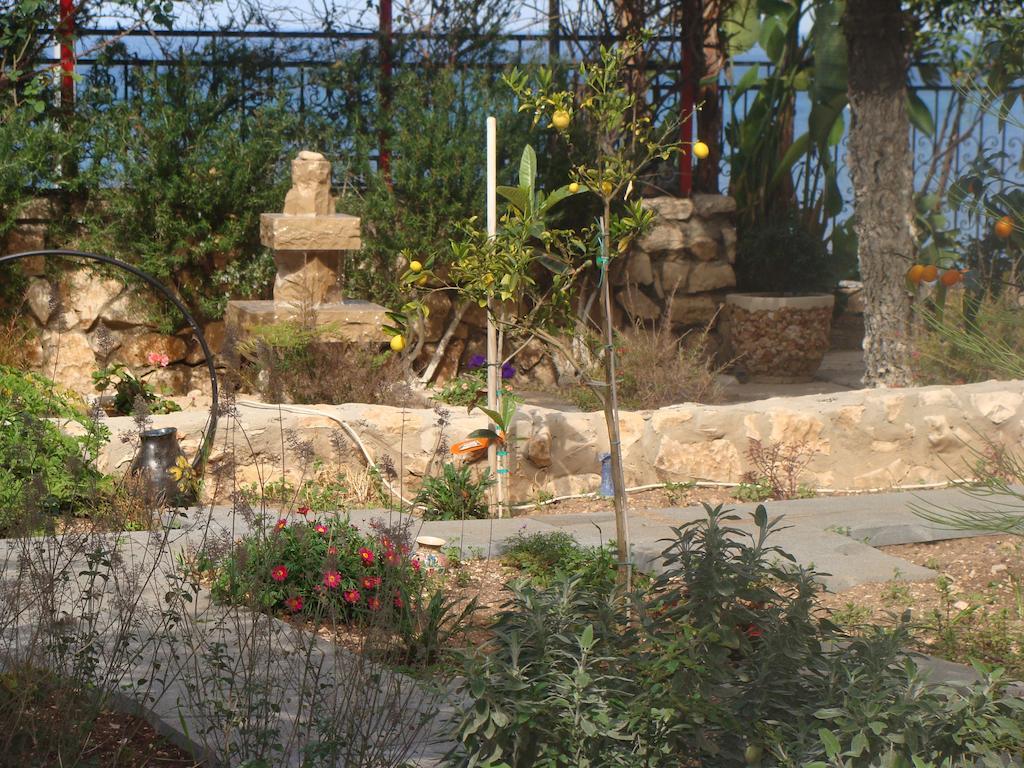 Tamer Guest House Haifa Exteriér fotografie