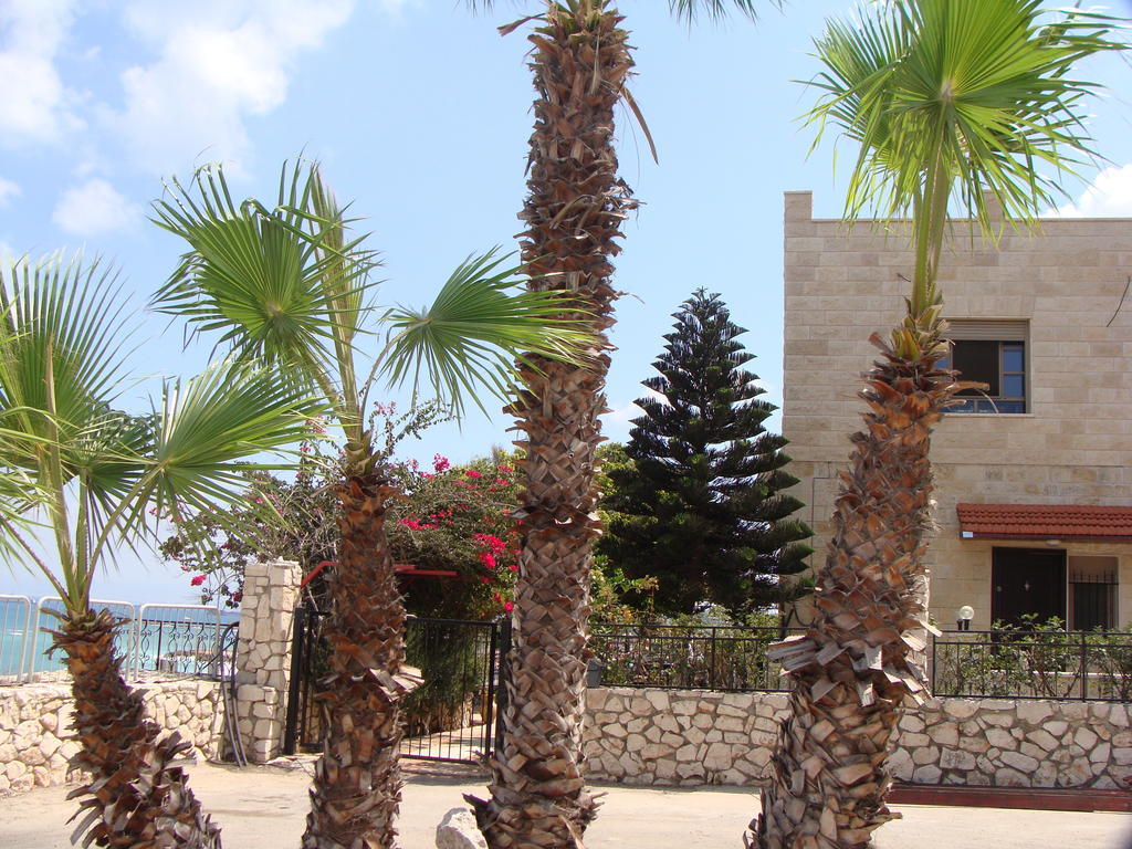 Tamer Guest House Haifa Exteriér fotografie