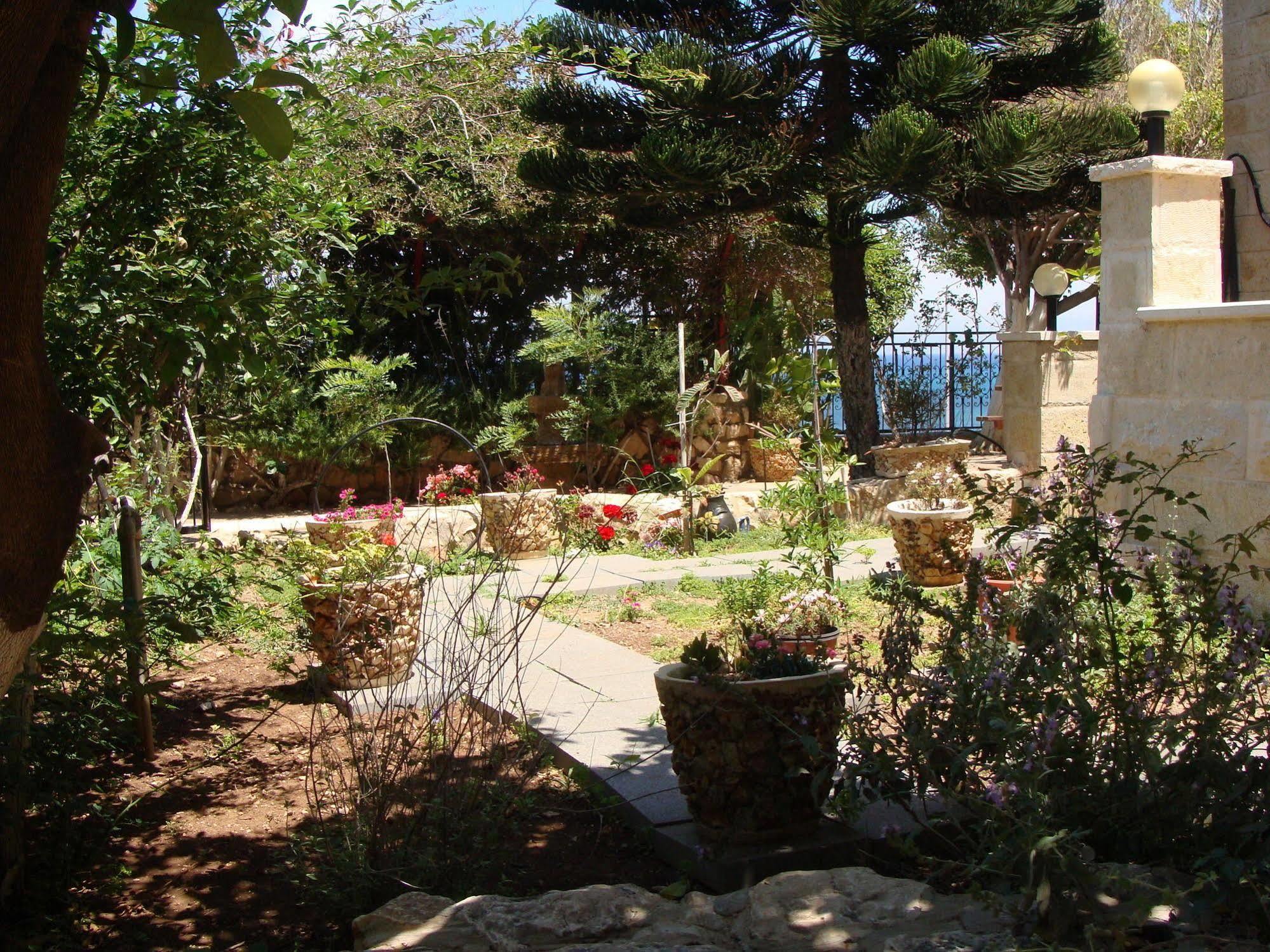 Tamer Guest House Haifa Exteriér fotografie